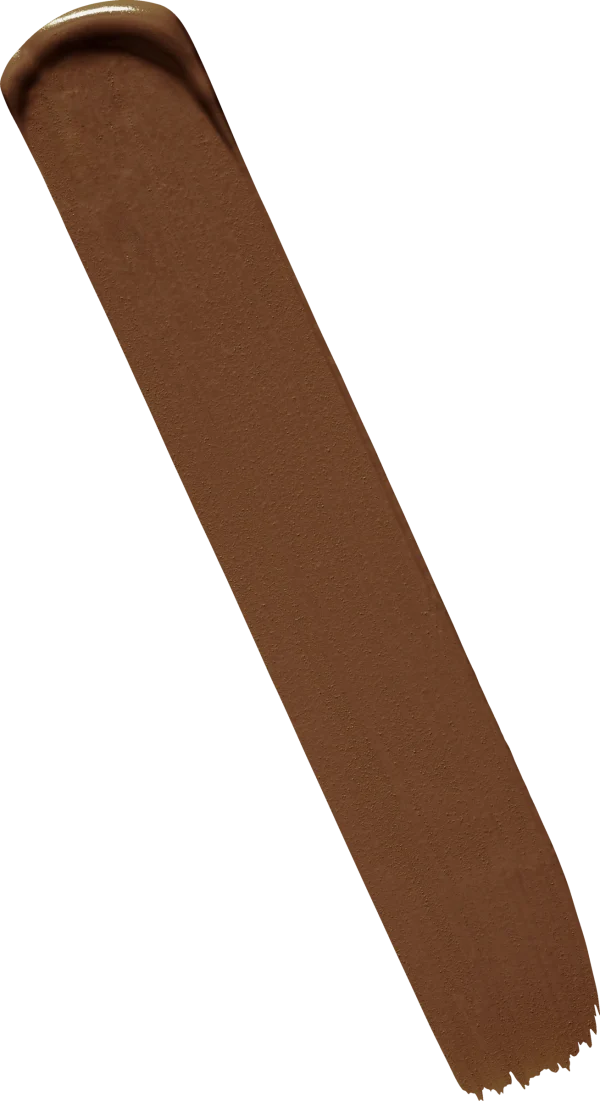 L’Oréal Paris Infaillible 24H Matte Cover 355 Terre De Sienne/Sienna 4