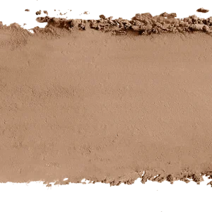 L’Oréal Paris Infaillible 24h Fresh Wear Soft Matte Bronzer 300 Light Medium 13