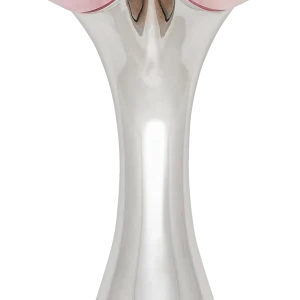 FOR YOUR Beauty Twin-Ball Rosenquarz-Roller 6